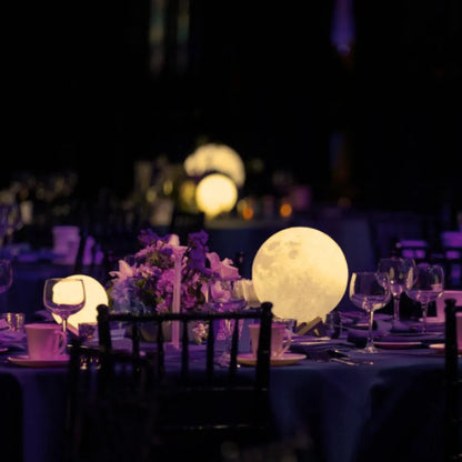 Solar LED Garden Sphere Lights – Remote-Controlled Outdoor Illumination
