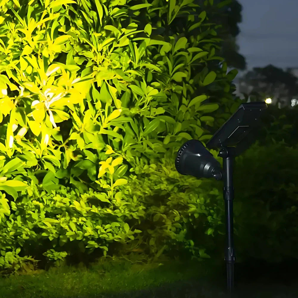 Outdoor LED Garden Spotlight with Adjustable Solar Multi-Color Lighting