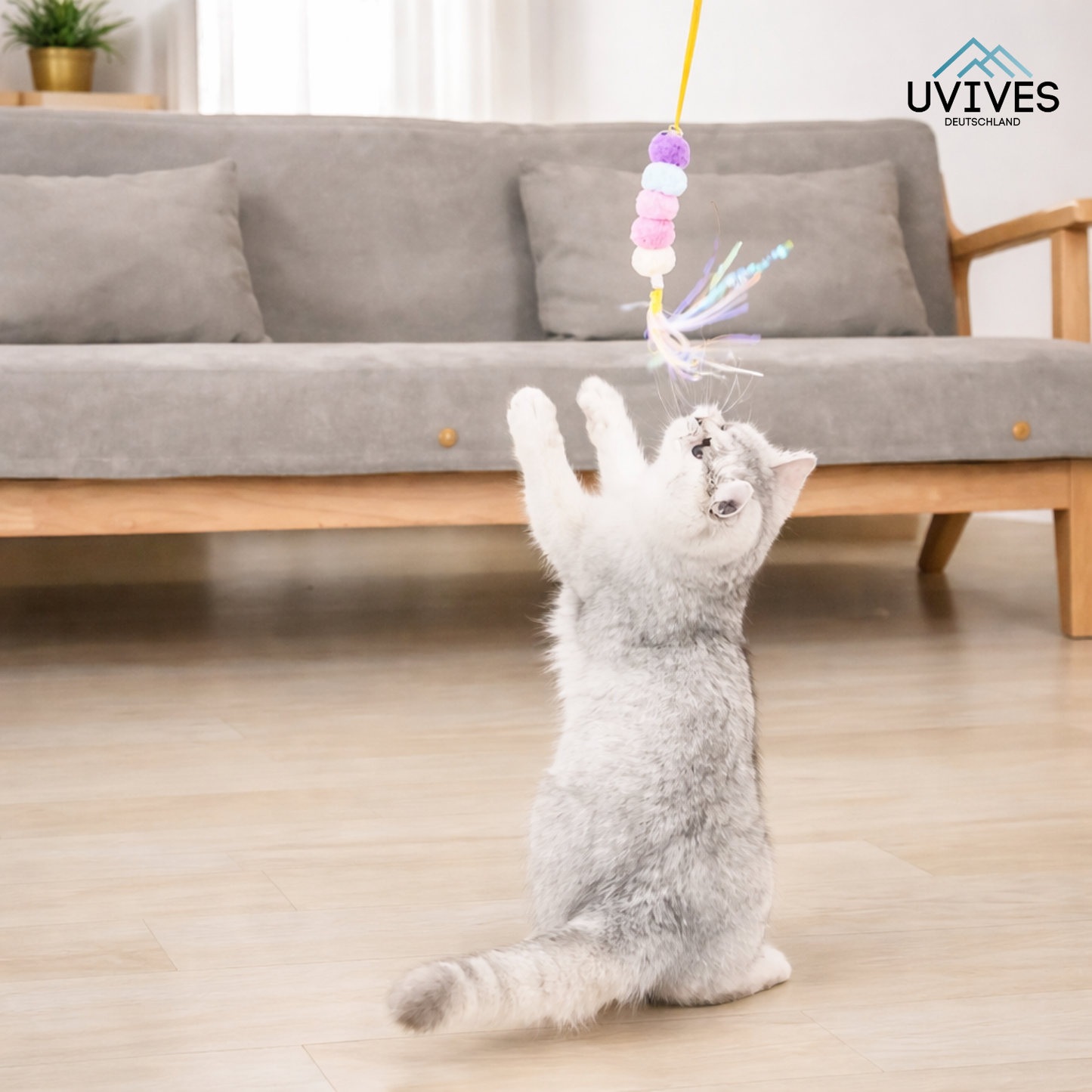 Buy One Get One Free | Ignite Your Cat's Energy and End Boredom Now
