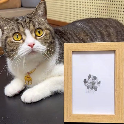Cherished Pet Paw Print Keepsake Kit