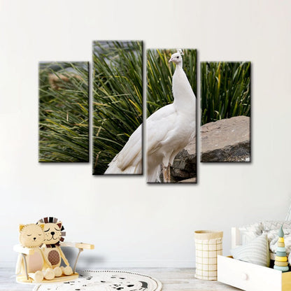 Serene Snowy Peacock - 4 Piece Canvas Art Set
