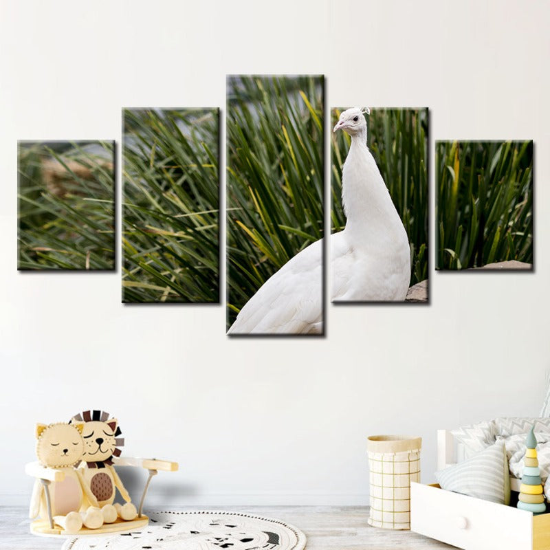Serene White Peacock 5-Piece Canvas Art Set