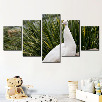 Serene White Peacock 5-Piece Canvas Art Set