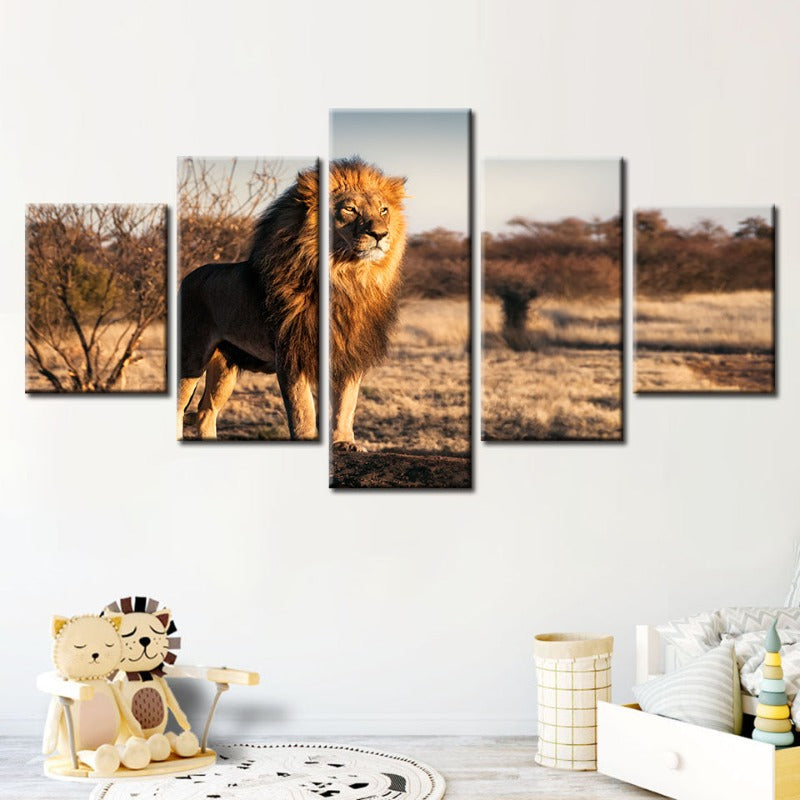 Majestic Lion in Sunlight - 5 Piece Canvas Art Set