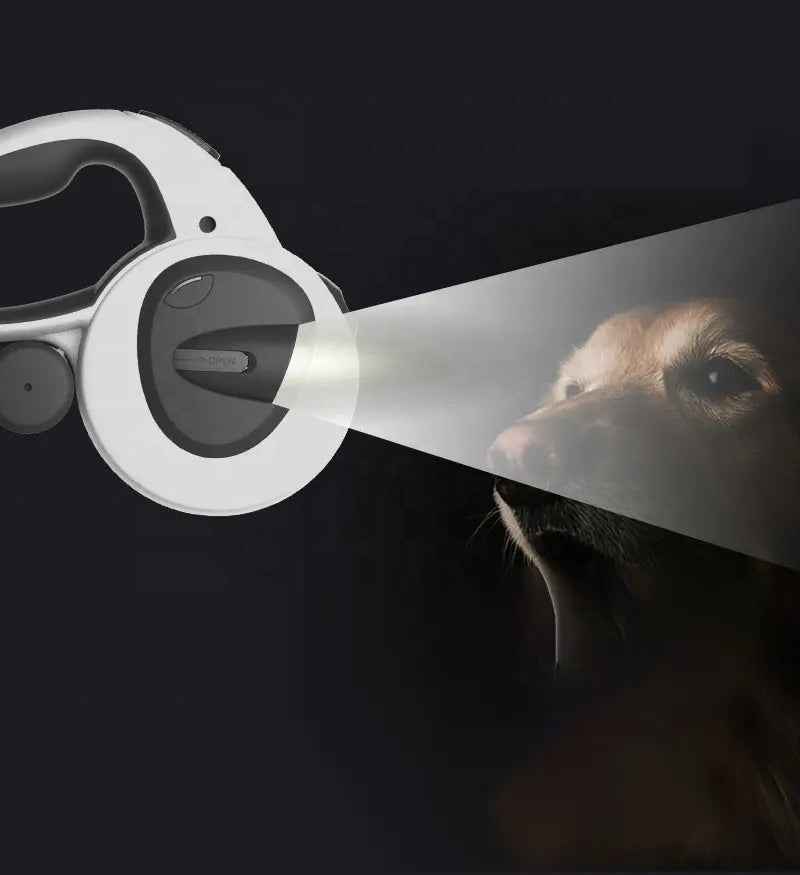 5-in-1 Illuminated Dog Leash for Safe Night Walks