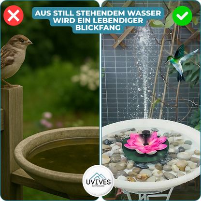 Solar Fountain for Your Garden – Sun-Activated Water Feature