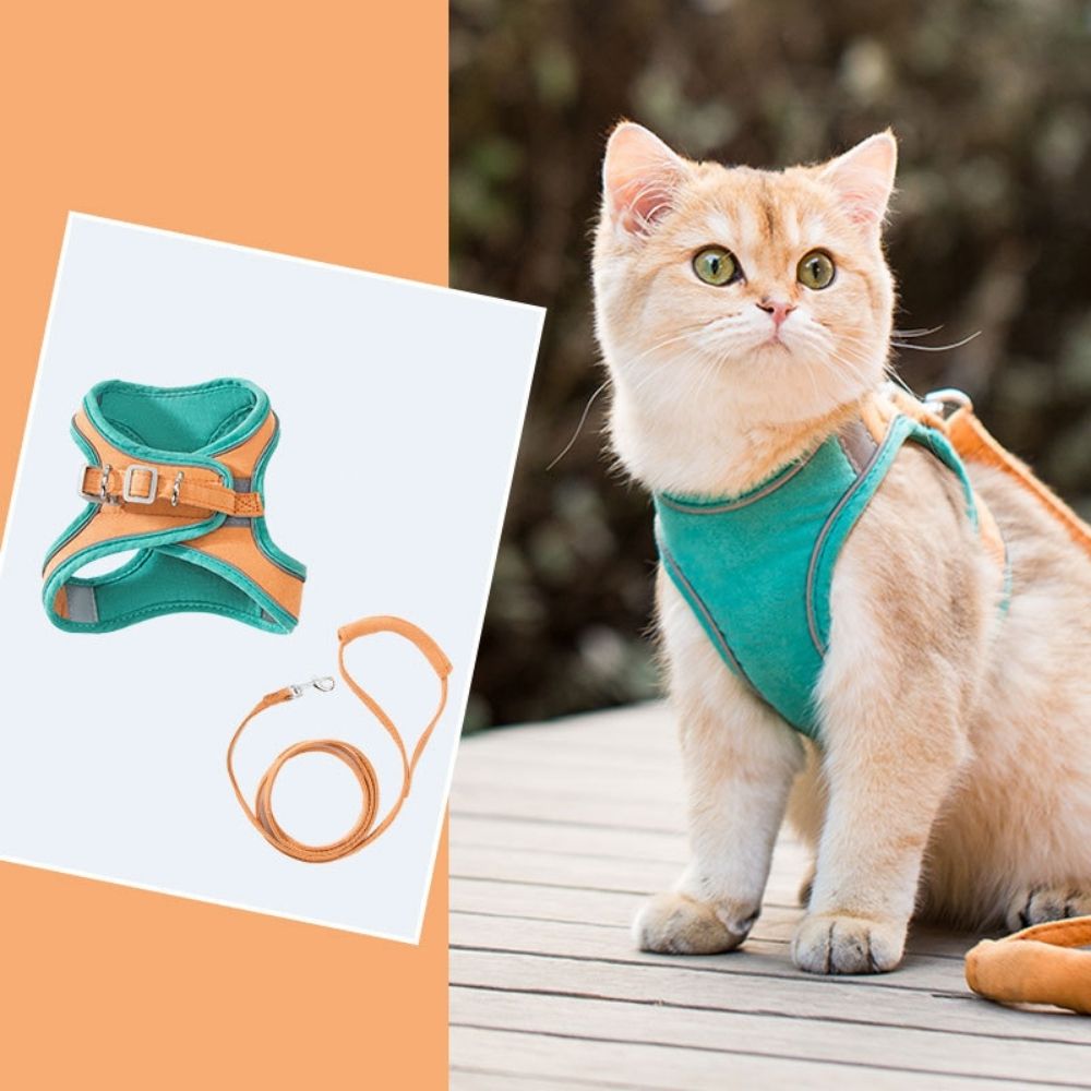 ExploreSafe Cat Harness and Leash Set