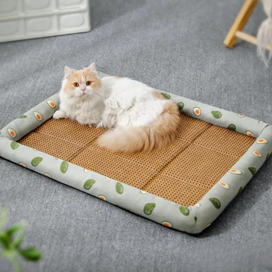 Breathable Summer Pet Bed for Ultimate Comfort