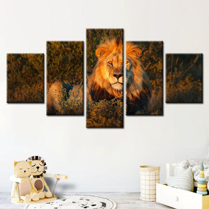 Majestic Lion Canvas Art Set - 5 Pieces for Home Decor