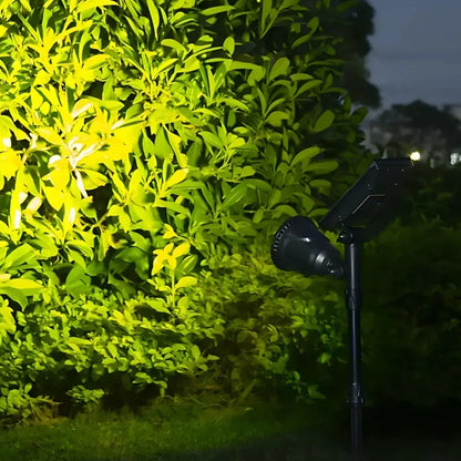 All-Weather Adjustable Solar Spotlight for Pathways