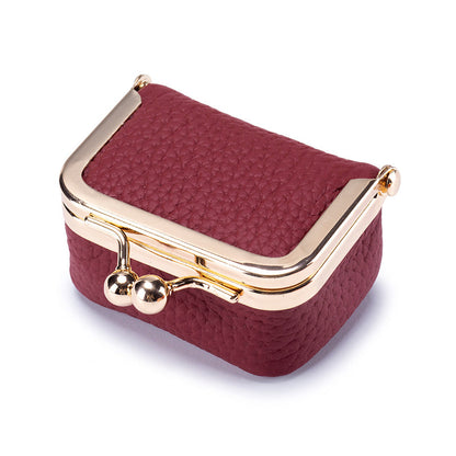 Elegant Jewelry Case for Safe and Radiant Storage Anywhere