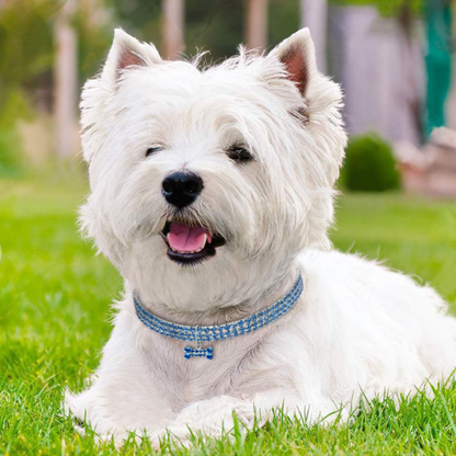 Charming Crystal Dog Collar for Pets