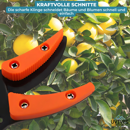 Effortless Cutting Tool for Tall Hedges