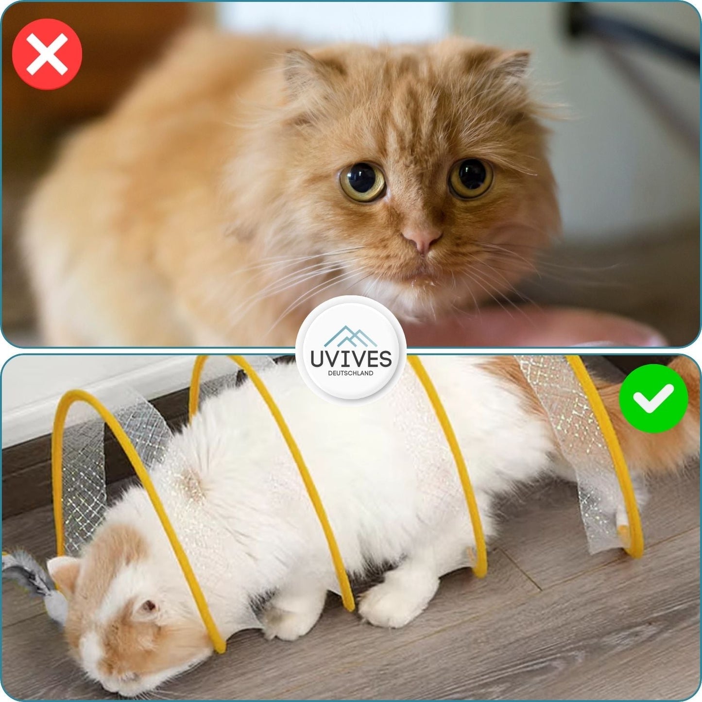 Collapsible Cat Tunnel with Built-in Toys for Playtime