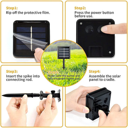 String Lights Powered by Solar Energy