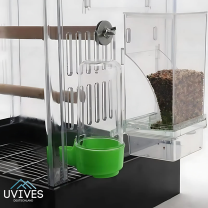 Bird Feeder – Clean Feeding, Happy Birds, Reduced Effort