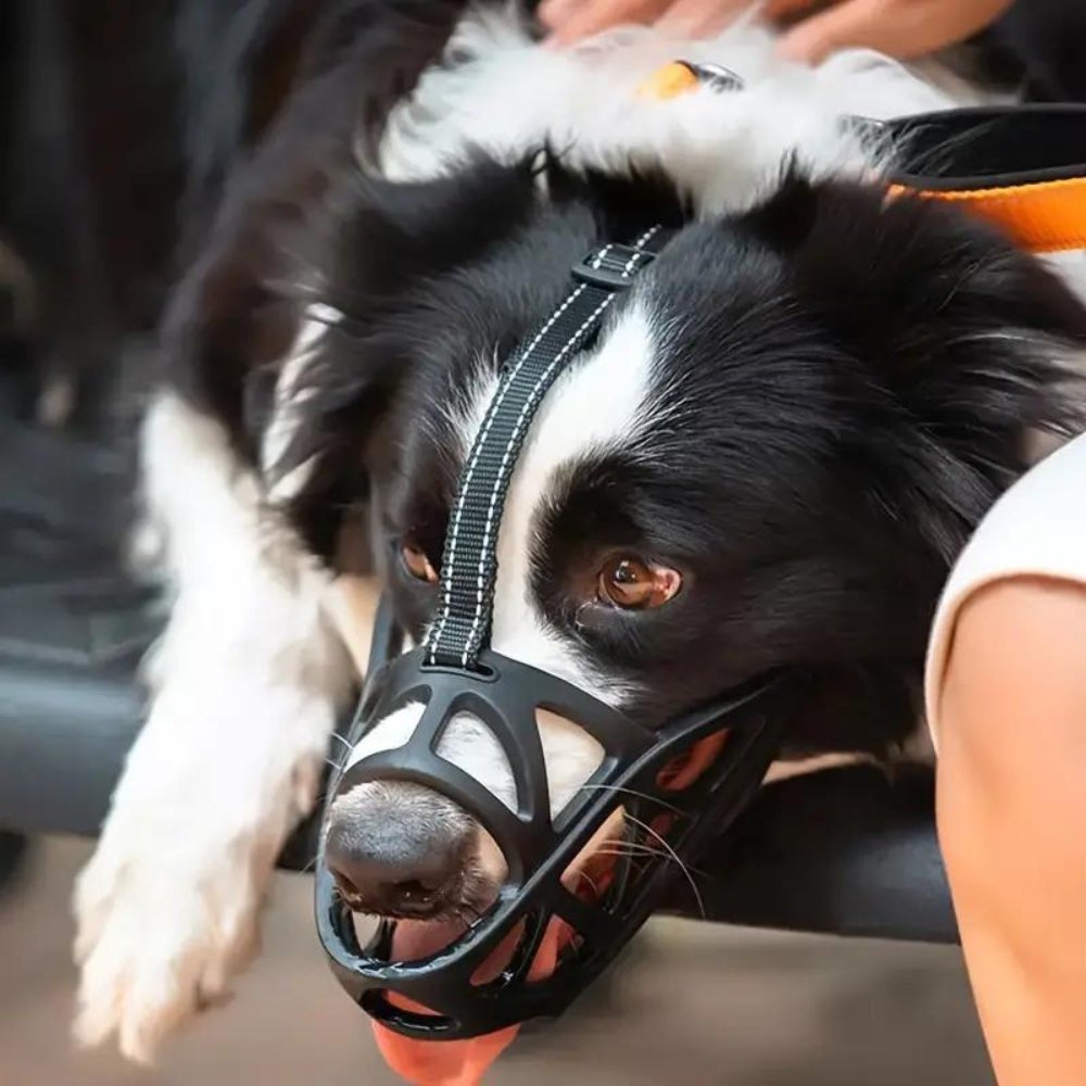 Calm Dogs Instantly, Prevents Safe Biting and Barking