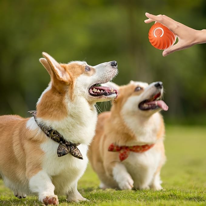 Interactive Dog Play Ball for Engaging Fetch Games