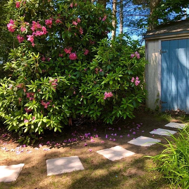 Buy One Get One Free | Non-Slip Paving Slabs for Safe Walking