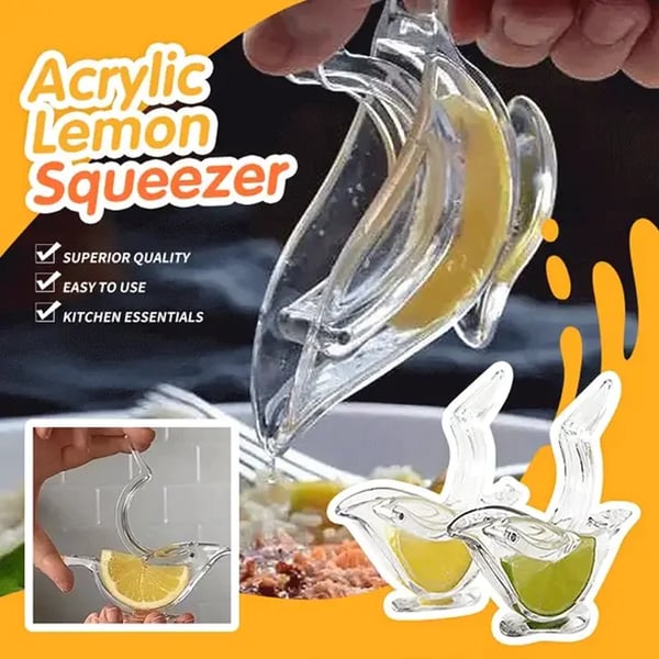 Elegant Citrus Juicer for Quick Fresh Juice Extraction