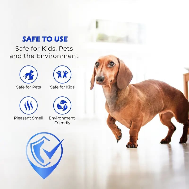 Floor Revitalizer for Wood & Laminate Surfaces | Scratch Repair & Shine Restoration