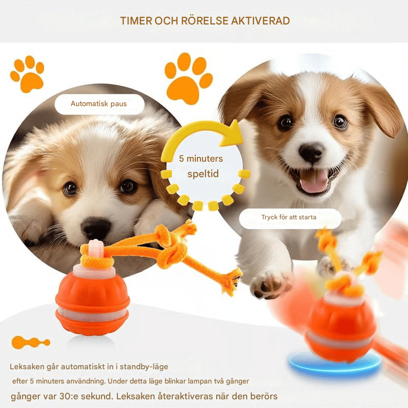 Keep Your Dog Mentally Engaged and Energetically Happy