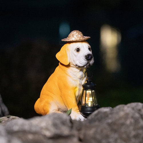 Illuminate Your Garden with Lifelong Solar Magic Lights
