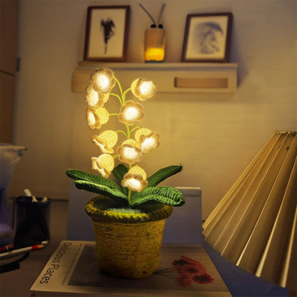 Cozy Night Comfort with Eternal Glow