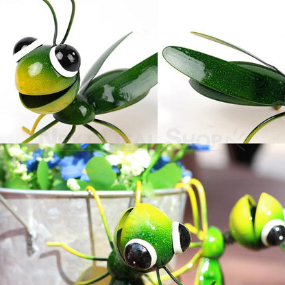 Get 1 Free | Eco-Friendly Garden Transformation for Vibrant Charm