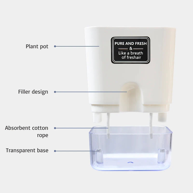 Grow Plants Easily Without Daily Watering Issues