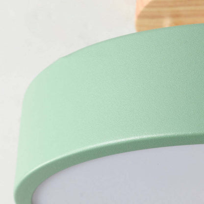 Contemporary LED Ceiling Light Fixture