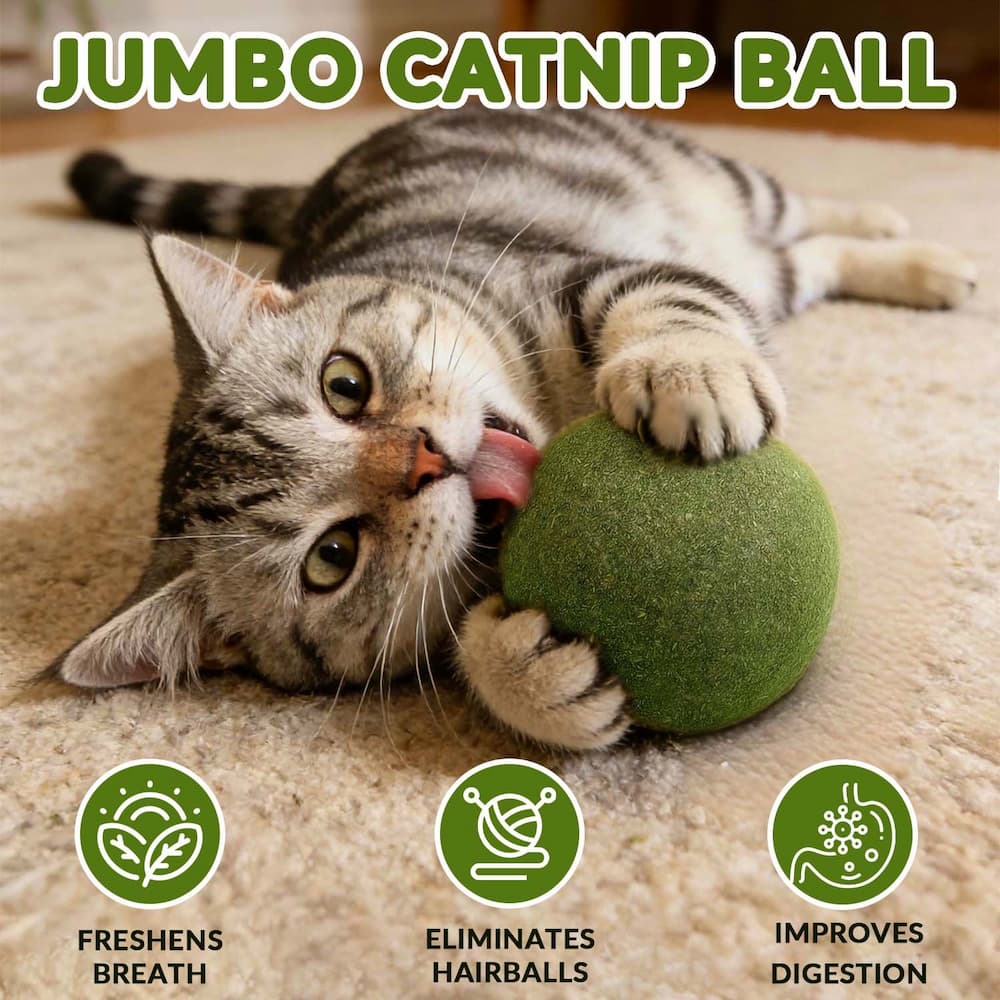 Effortless Dental Care for Your Cat While Playing