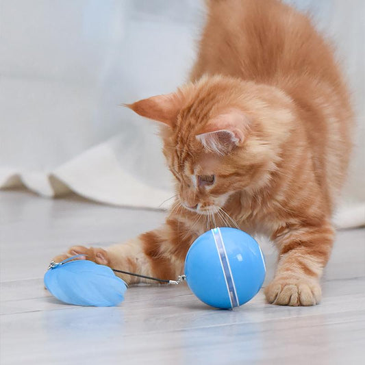 Endless Fun Toy for Keeping Your Cat Active and Happy