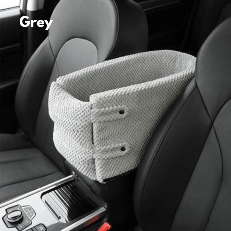 Travel Safety and Comfort for Small Pets