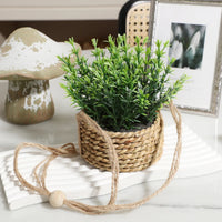 Rosemary