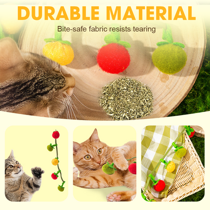 Buy One Get One Free | Keeps Your Cat Active, Happy, and Playful Daily