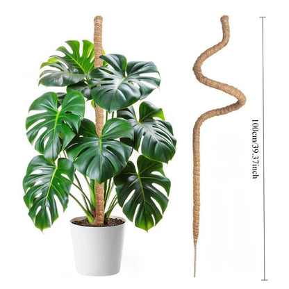 Large Coconut Plant Support Stake | Flexible Coco Fiber Support | Ideal for Monstera & Climbing Plants