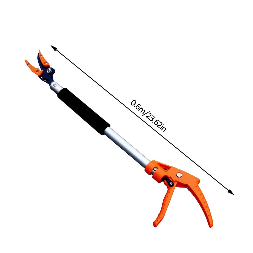 Tree Branch Cutter – Easily Reach and Trim High Branches