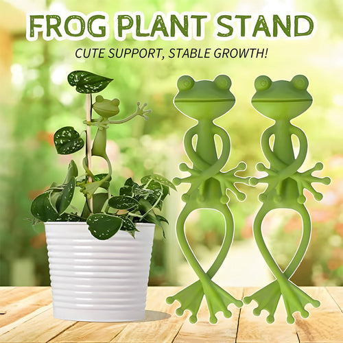 Vertical Plant Support for Healthy Climbing Plants