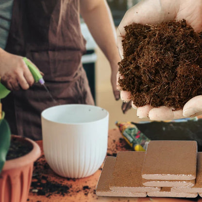 Eco-Friendly Coconut Fiber Growth Medium for Plants