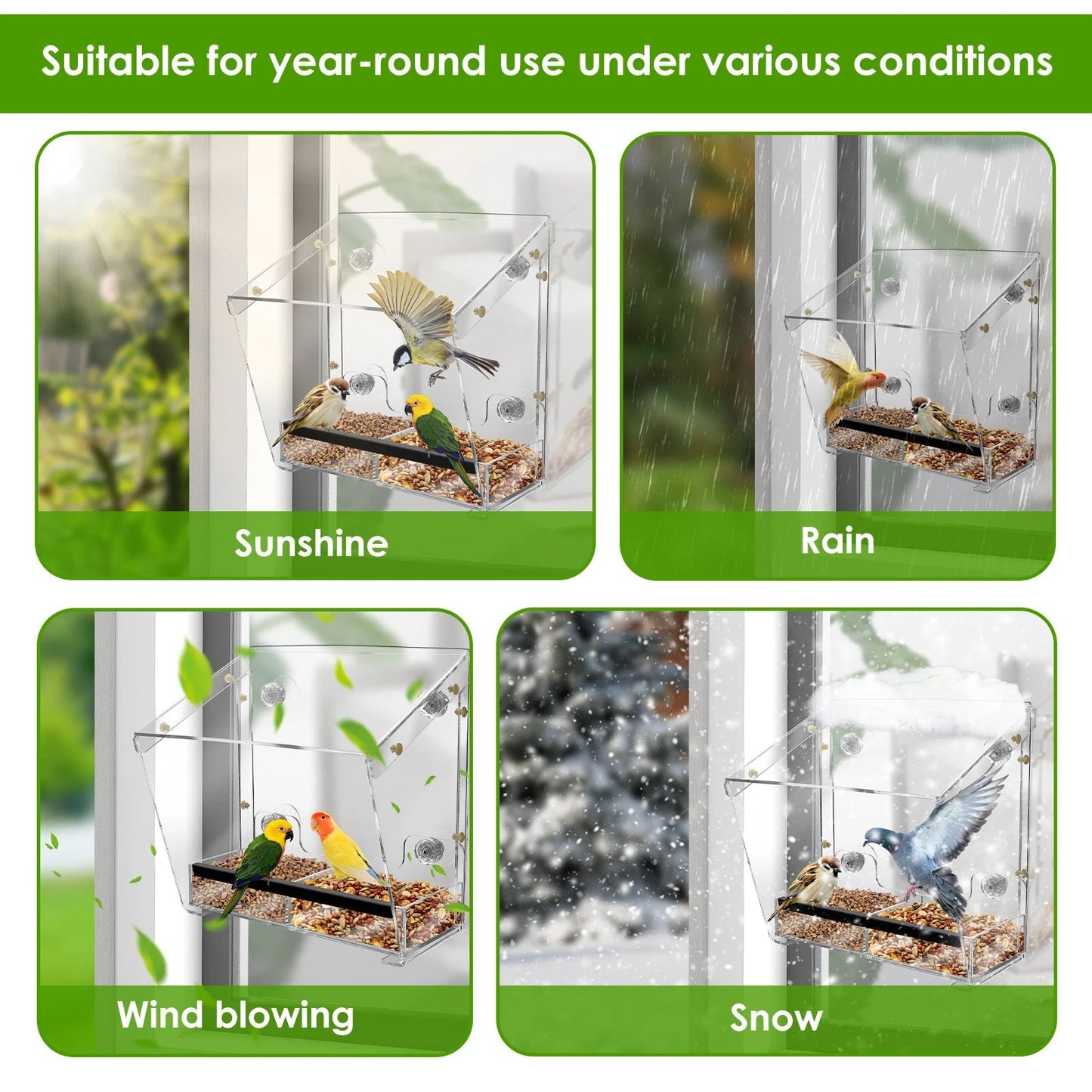Acrylic Bird Feeder with Suction Cups for Window Mounting - Clear Design
