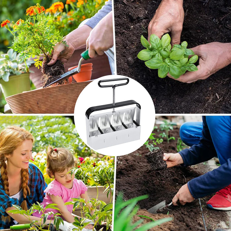 Grow Healthy Seedlings Without Plastic Waste – Eco-Friendly Solution