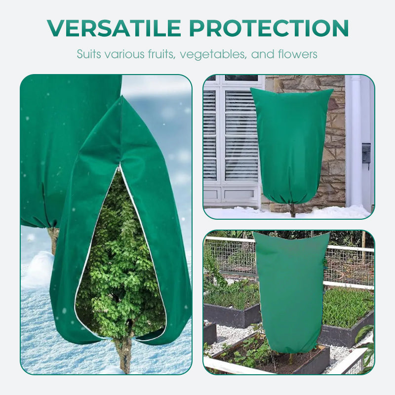 Protect Your Plants from Winter Cold and Help Them Thrive