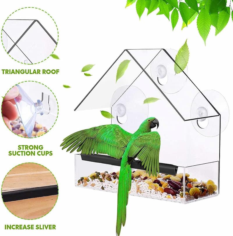 Window Bird Feeder with 3 Suction Cups | Clear Acrylic for Birdwatching | Open Design | Easy to Fill & Clean