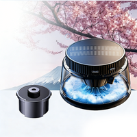 Cherry Blossom