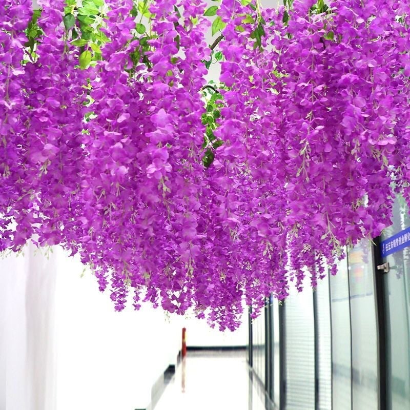Vibrant, Lush Wisteria Plant that Requires No Watering