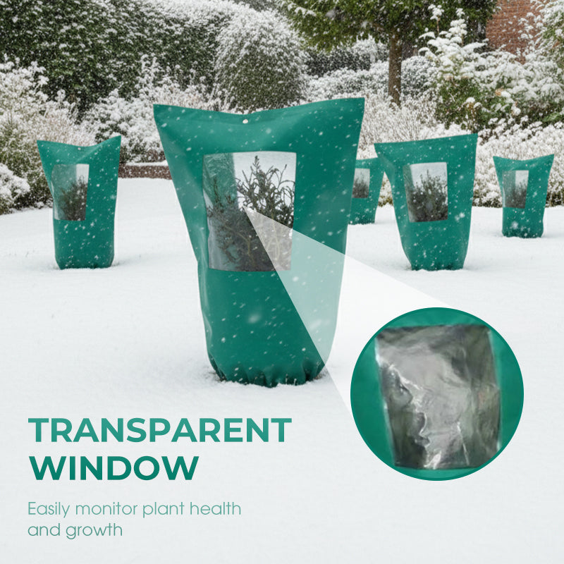 Protect Your Plants from Winter Cold and Help Them Thrive