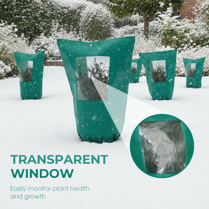 Protect Your Plants from Winter Cold and Help Them Thrive