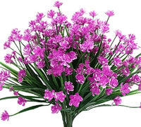 Violet Daffodil*5