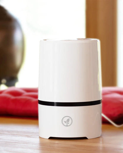 Essential Oil Aroma Dispenser | USB-Powered & Silent Operation
